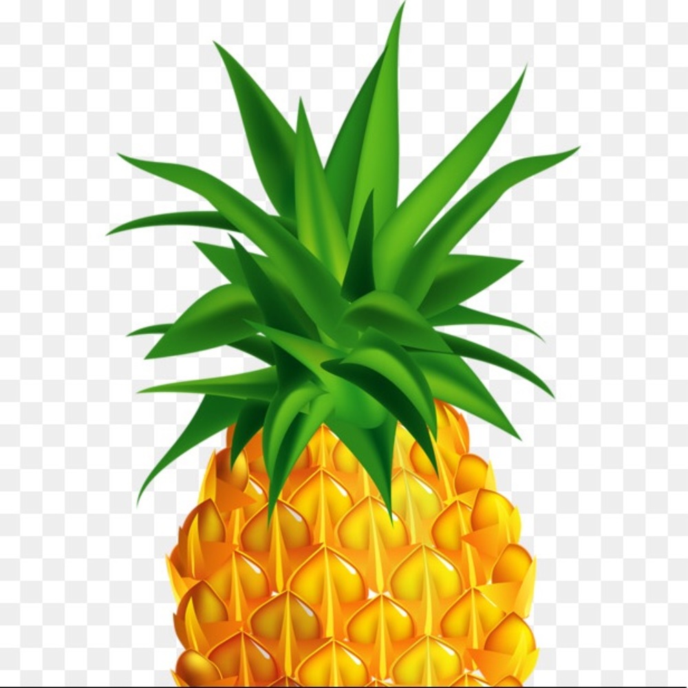 🍍Meet your Posher, Ingram🍍